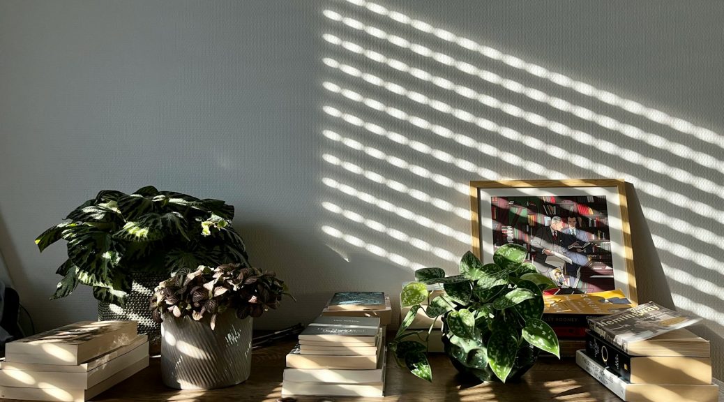 a wooden table topped with books and a potted plant