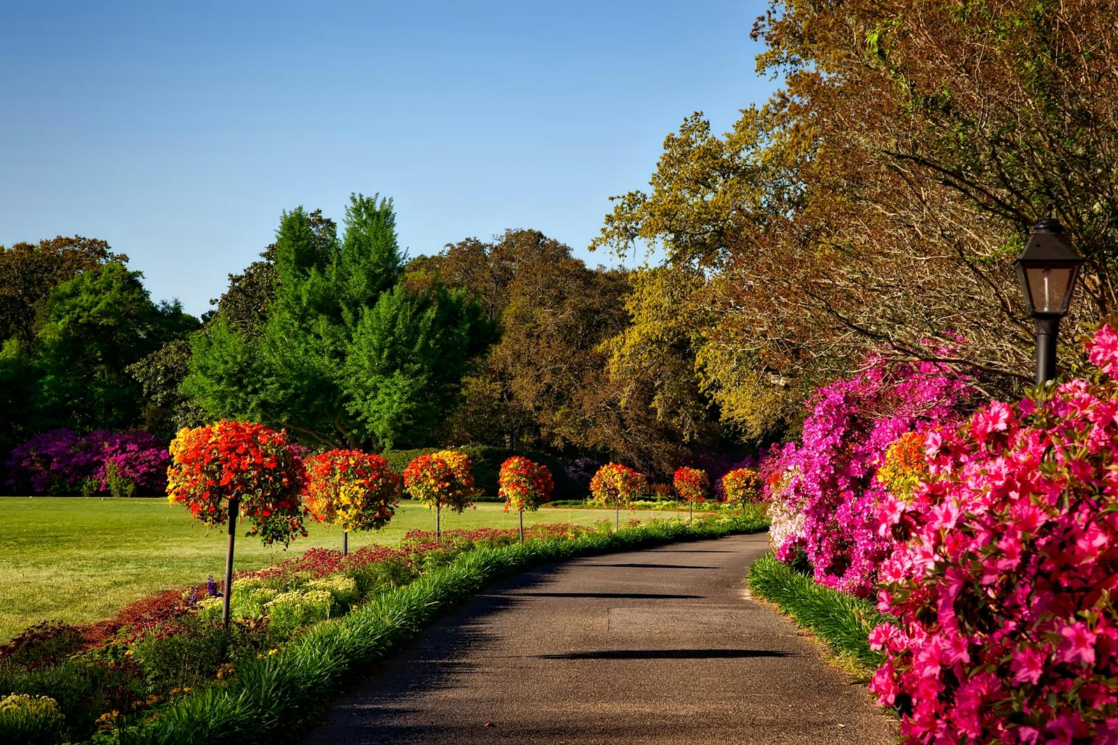 A scenic outdoor garden with vibrant floral displays, perfect for backgrounds or wallpapers.